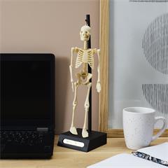 MINI SQUELETTE DE BUREAU OSCAR