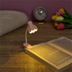 LISEUSES LES COQUETTES ASSORTIES